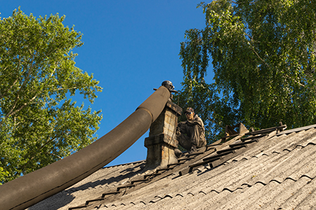 Technician repairing chimney