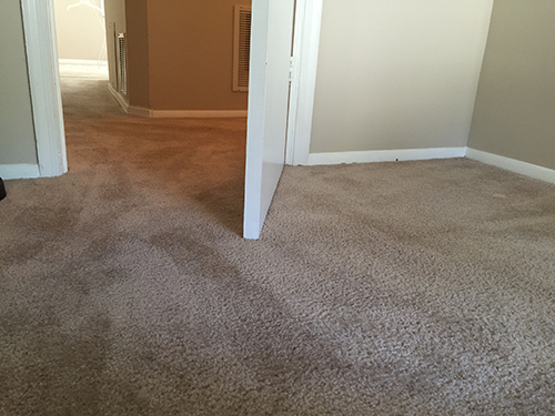Carpet Cleaning Service