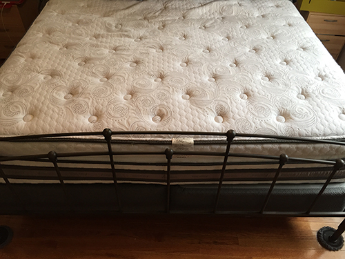 Mattress & Pet Stain Removal