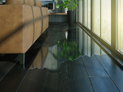 Water and Flood Damage Repair